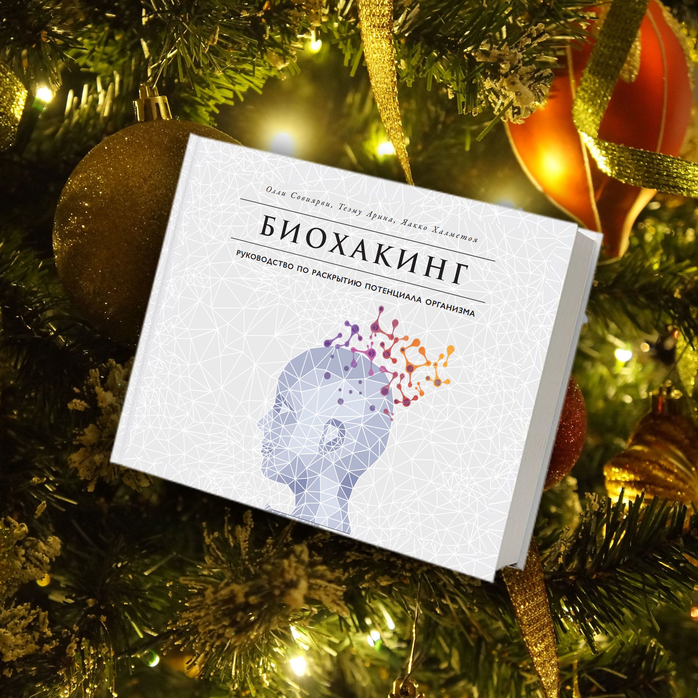 Нон-фікшн під ялинку, для блогів_6
