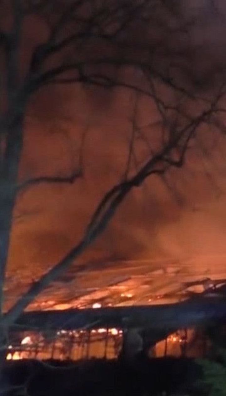 У німецькому зоопарку в новорічну ніч сталась пожежа: загинули 30 тварин