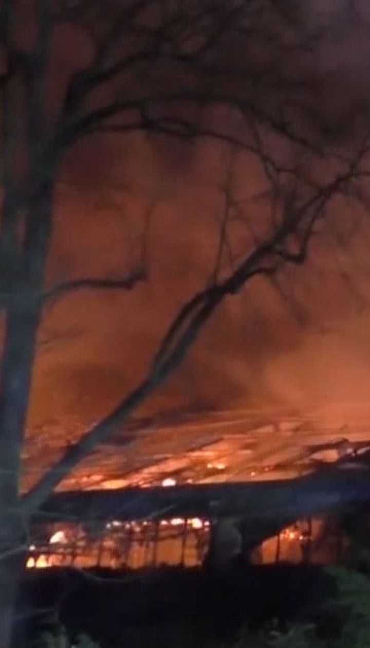 В немецком зоопарке в новогоднюю ночь произошел пожар: погибли 30 животных