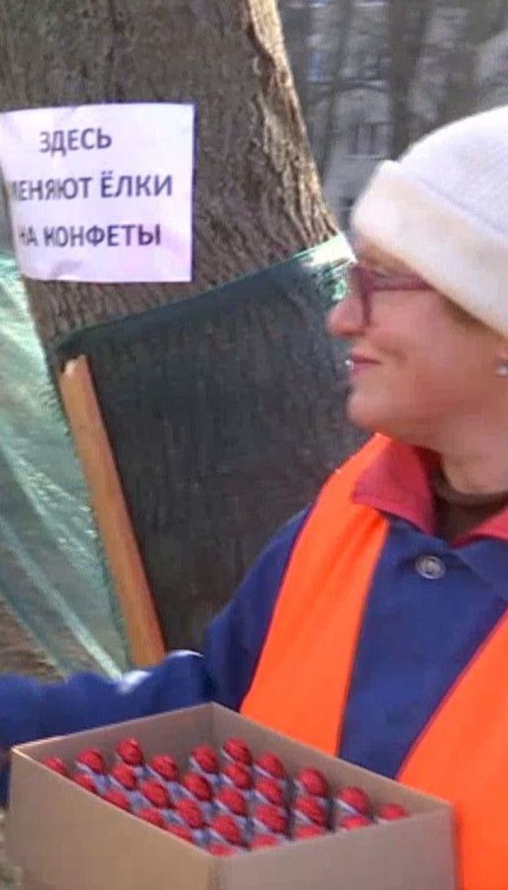 Елка в обмен на шоколад: одесситов поощряют не выбрасывать новогодние деревья