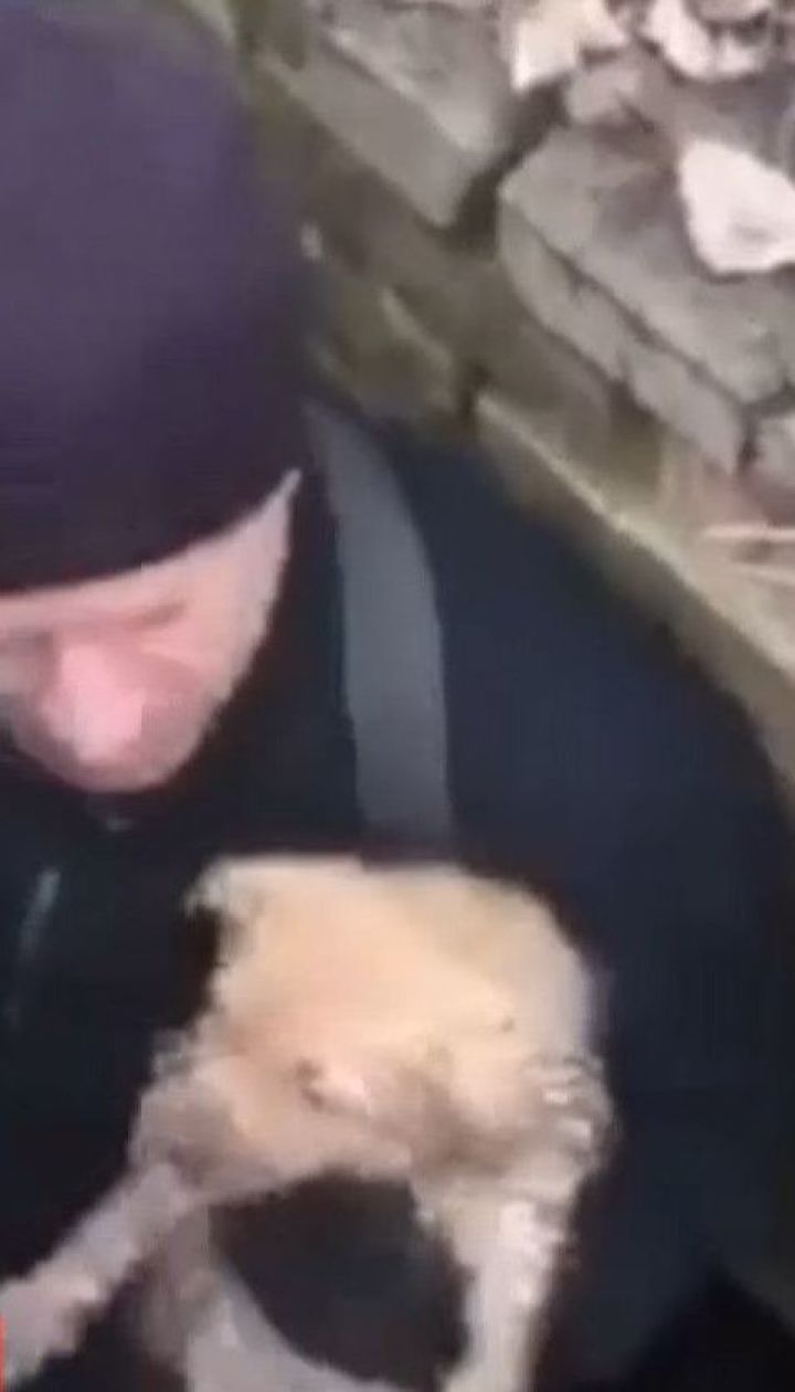 Вінницькі надзвичайники дістали з каналізаційного колодязя цуценя
