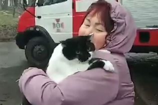 У Дніпрі рятувальники зняли з дерева кішку, яка з переляку відмовлялась злазити