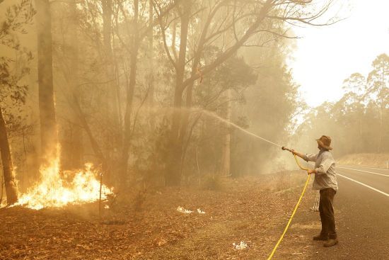 В Австралії зросла кількість загиблих унаслідок масштабних лісових пожеж