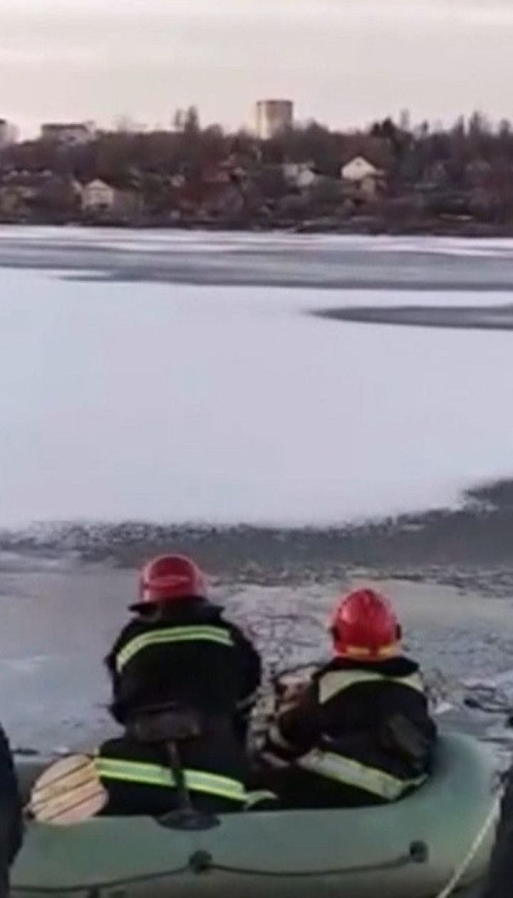 Спасение из-под льда: в Хмельницком чрезвычайники вытащили из озера двух немецких овчарок
