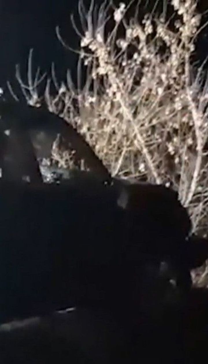 Позашляховик з’їхав у ставок на Дніпропетровщині: 4 людей загинули