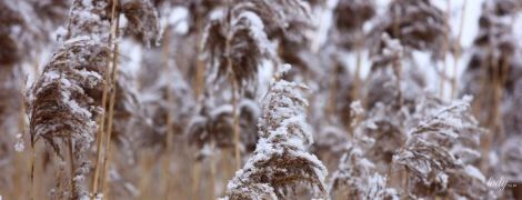 День с тяжелой энергетикой: гороскоп на 20 января