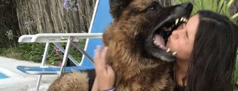 В Аргентине пес укусил девушку прямо за лицо на совместной фотосессии