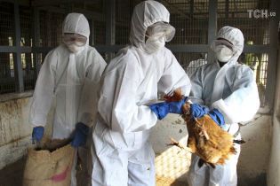 В Україні вперше за останні три роки зафіксували масові випадки пташиного грипу