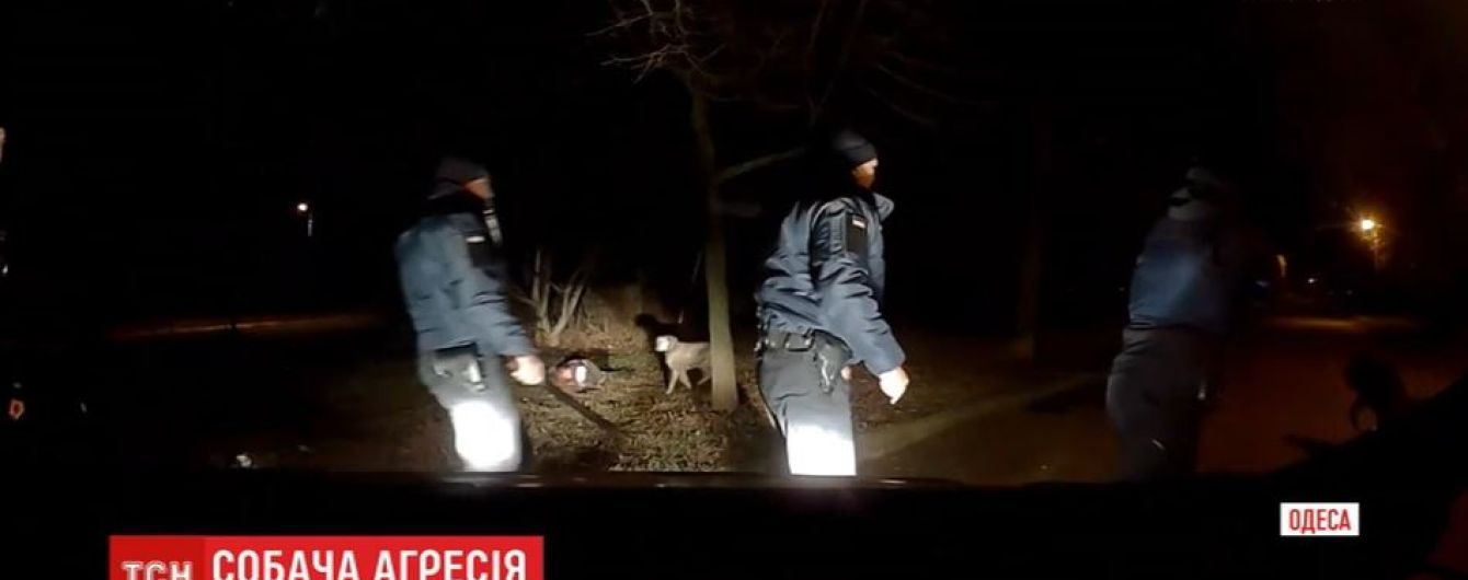 Полицейские показали видео обезвреживания пса в Одессе, который терзал свою хозяйку