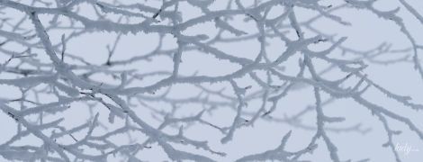 Не варто ухвалювати поспішних рішень: гороскоп на 28 січня