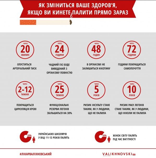 Инфографика предоставлена автором
