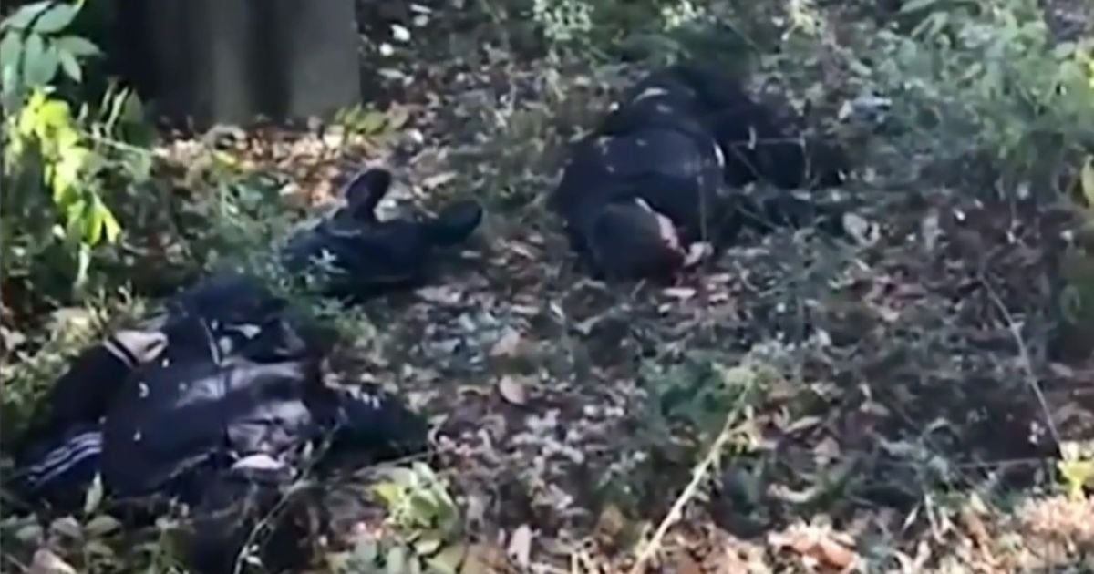 В Интернете появились кадры с места подрыва четырех детей на мине возле Горловки