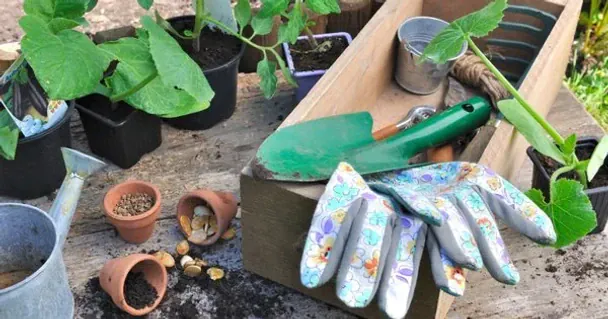 Що обов’язково потрібно зробити в травні на городі, в саду