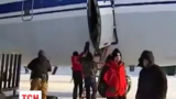 Украинские авиаторы вернулись после арктической спецоперации НАТО