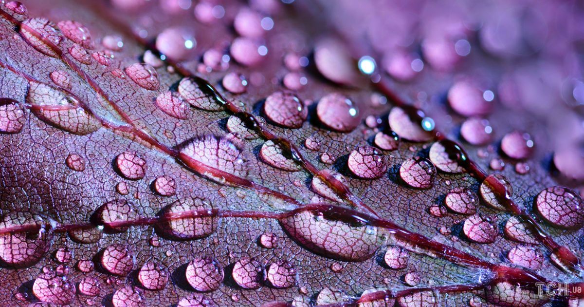 Гороскоп на 9 жовтня для всіх знаків зодіаку