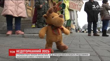 Через зменшення популяції лося його внесуть до Червоної книги 	