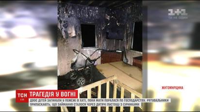 У пожежі на Житомирщині загинуло двоє маленьких дітей