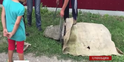 Жителі села на Тернопільщині провели спецоперацію з ловлі чупакабри