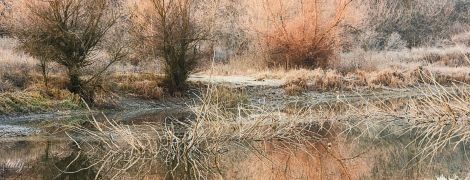 День інтелектуальної активності: гороскоп на 29 січня