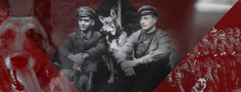 Собаки на службе УПА: как четырехлапые защищали украинскую государственность
