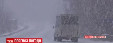 Житомирщину засипає рясним снігом: за дві години випало до п’яти сантиметрів