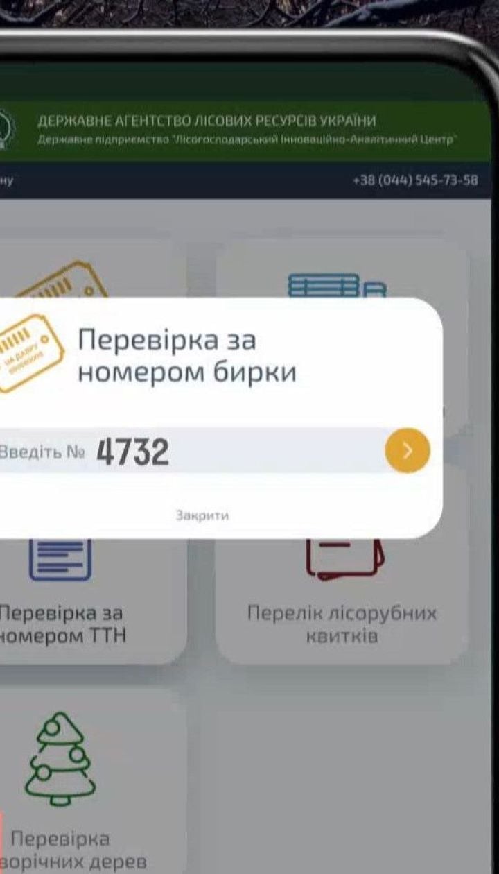 Ліс у смартфоні: у Держлісагентстві пропонують контролювати лісове господарство онлайн