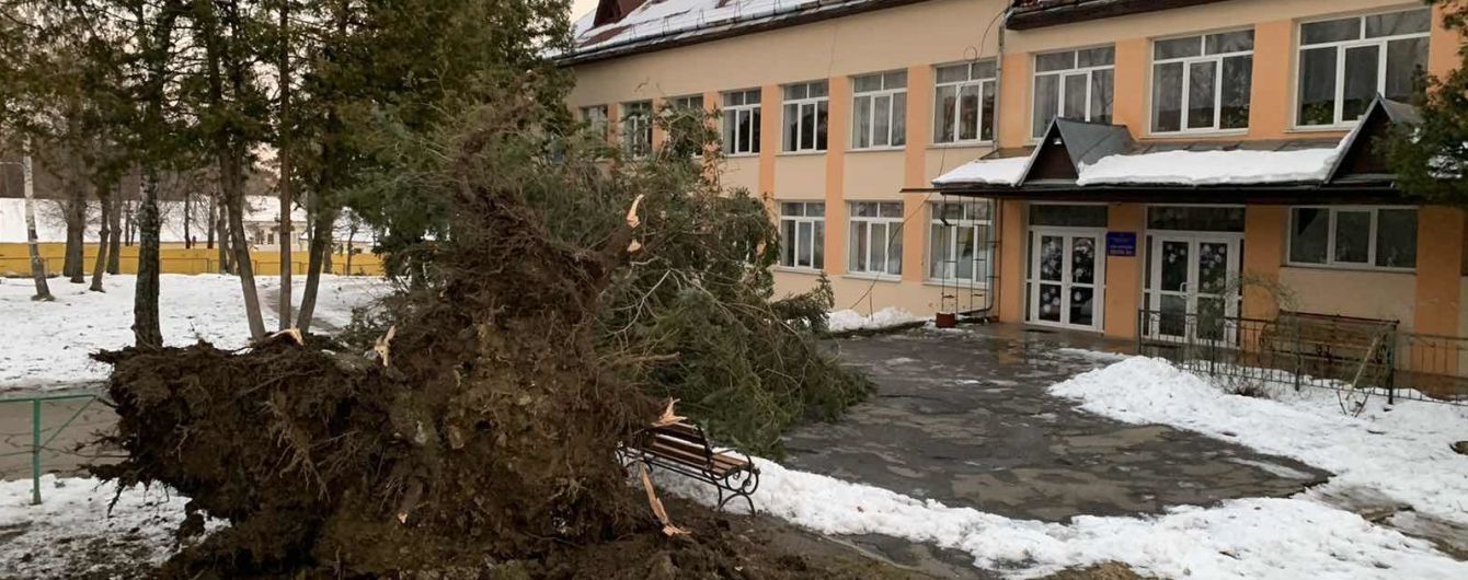 На Заході України вирує шквальний вітер: повалені дерева та знеструмлені будинки без дахів