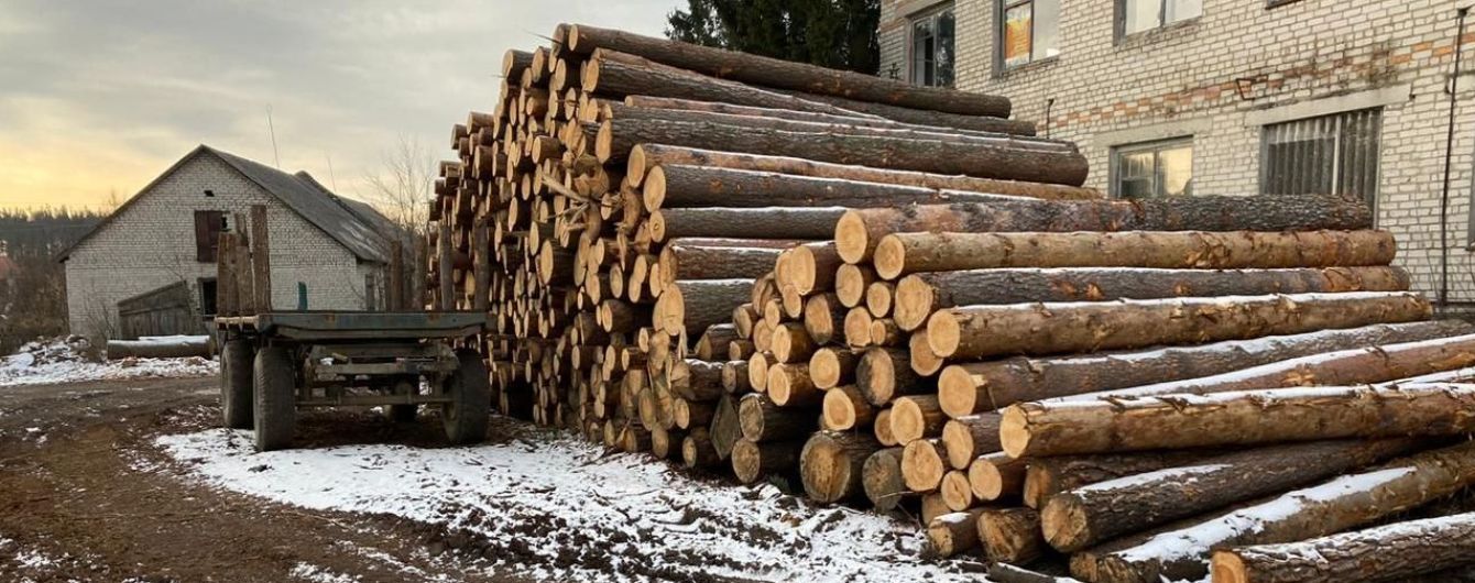 У Житомирській області викрили незаконну вирубку лісів на понад 6 млн гривень