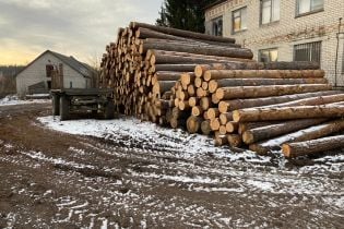 У Житомирській області викрили незаконну вирубку лісів на понад 6 млн гривень