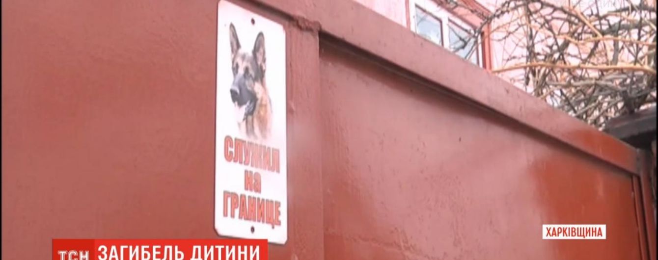 "Вся ділянка була в крові". Ротвейлер, який загриз 4-річного хлопчика, також покусав його бабусю