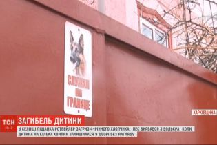 "Весь участок был в крови". Ротвейлер, который загрыз 4-летнего мальчика, также покусал его бабушку