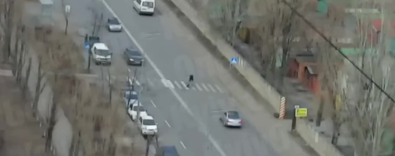 З’явилось відео, як у Києві легковик збив людину на пішохідному переході