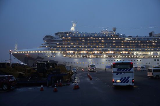 Понад 300 пасажирів карантинного лайнера Diamond Princess вилетіли до США