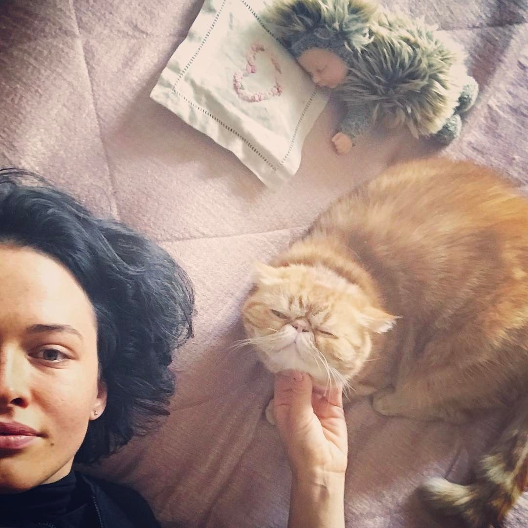 Зіркові коти_1