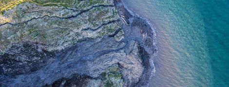 Арктика суттєво позеленіла - учені занепокоєні. Розповідаємо, чому це погано