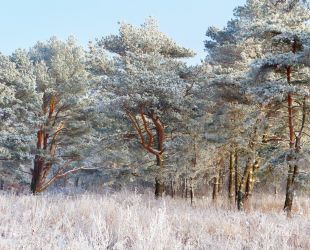 День, когда нельзя никому отказывать в помощи, гороскоп на 24 февраля