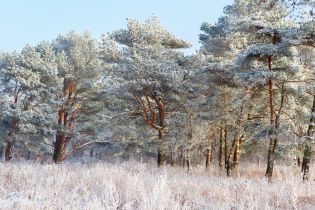 День, когда нельзя никому отказывать в помощи, гороскоп на 24 февраля