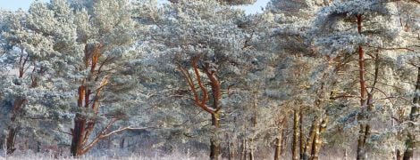 День, когда нельзя никому отказывать в помощи, гороскоп на 24 февраля