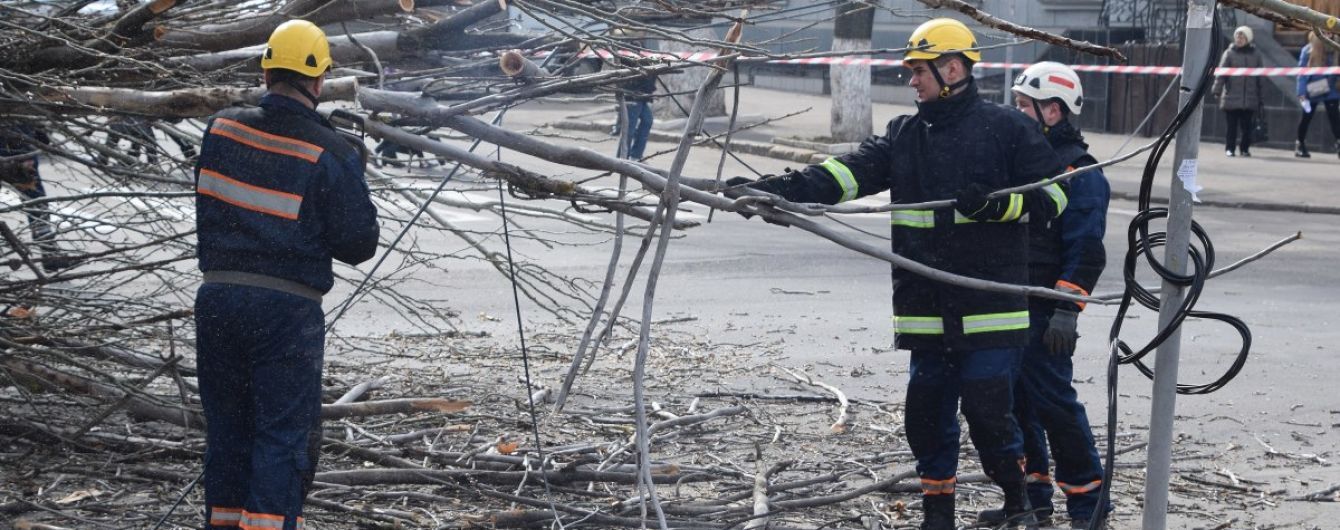 В Івано-Франківській області дерево вітром знесло на дорогу. Постраждав пасажир автобуса