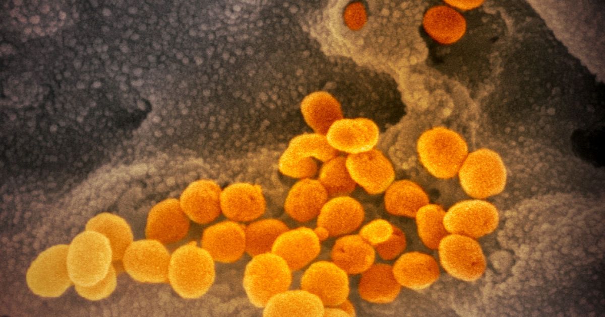 В США не отказываются от предположения, что коронавирус распространился из китайской лаборатории - СМИ