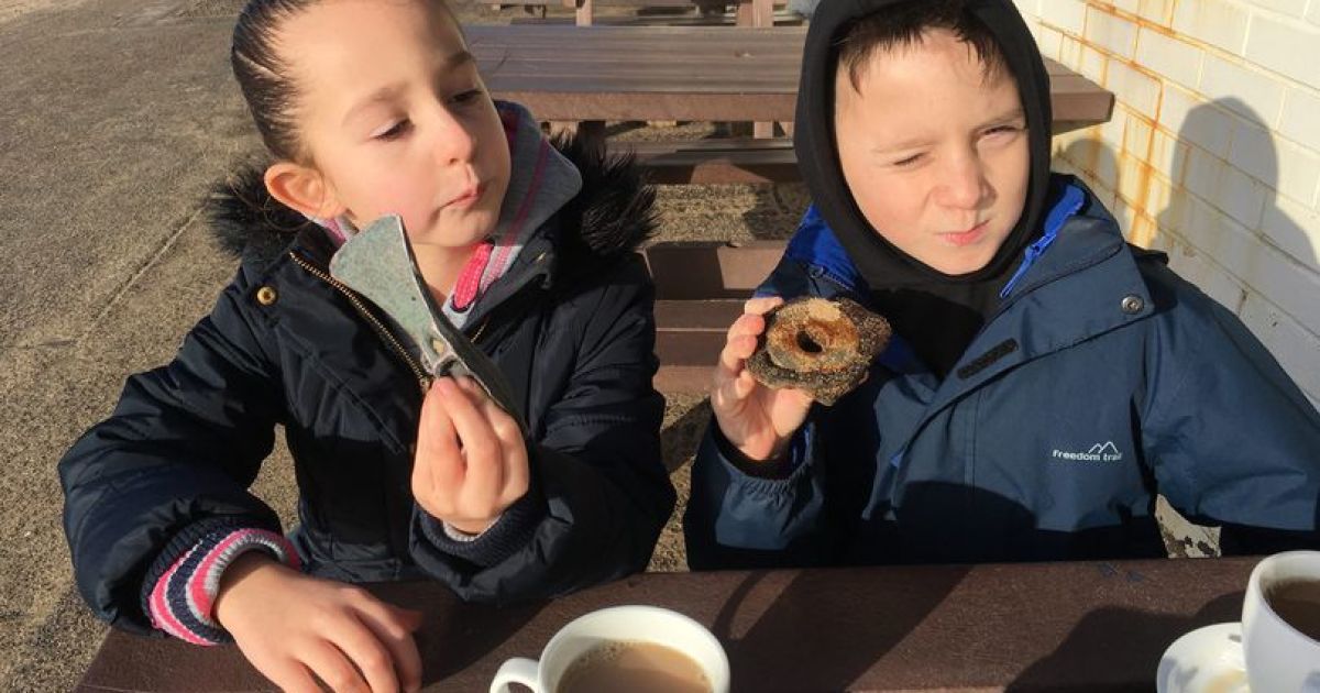 За минуту: 8-летняя школьница взяла металлоискатель дедушки и нашла старинный топор