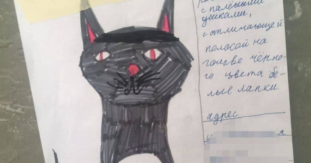 Девочка нарисовала забавный фоторобот кота ради помощи пожилой паре в поисках усатика