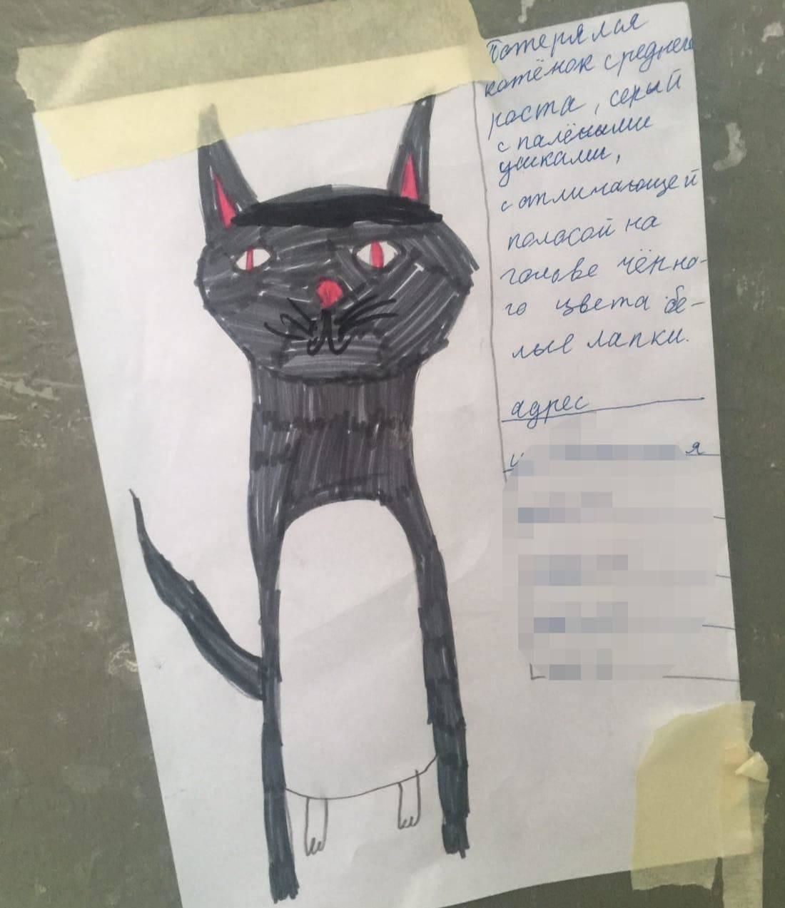 пошук кота фоторобот