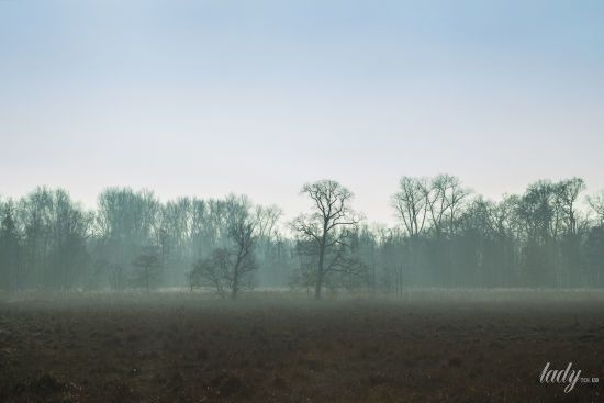 Гороскоп на 12 березня для всіх знаків зодіаку: найскладніший і найнебезпечніший день місяця за місячним календарем