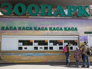 Кличко рассказал, какие изменения ждут киевский зоопарк