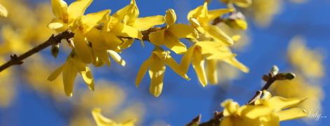 День споглядання і аналізу: гороскоп на 31 березня