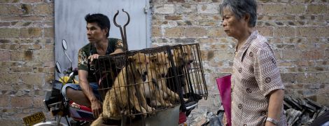 "Историческое решение": в Китае запретили есть домашних животных из-за пандемии коронавируса