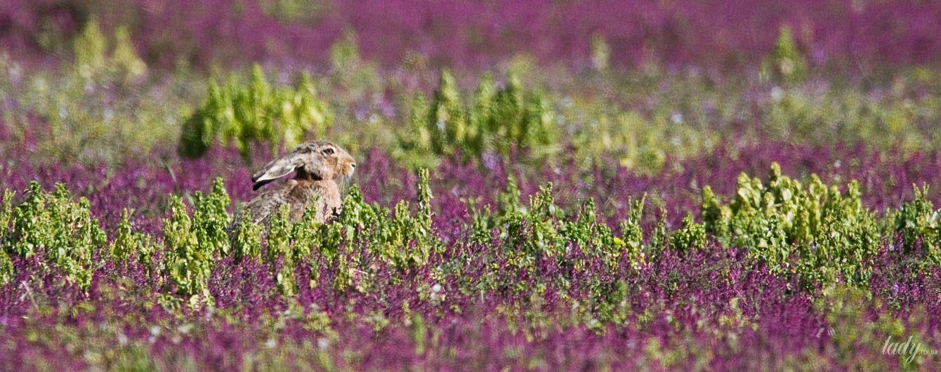 Гороскоп на 8 апреля для всех знаков Зодиака: день, когда психика будет очень уязвимой