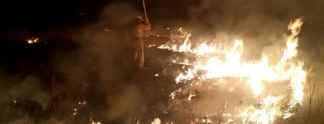 У Чорнобильській зоні кілька днів триває пожежа: чим це загрожує