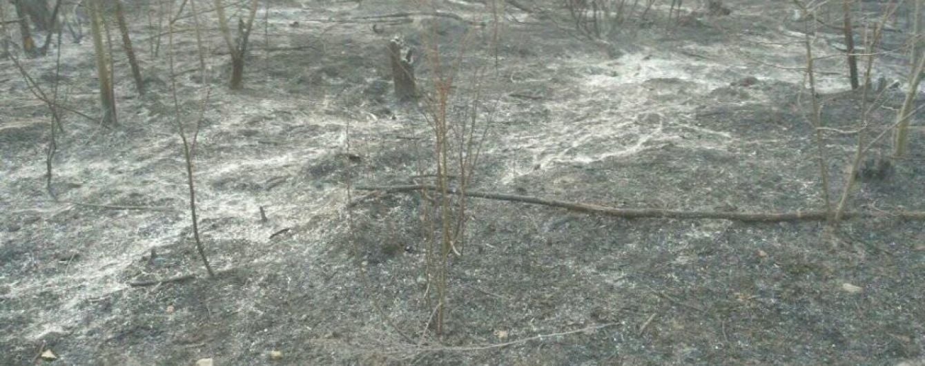 В Чернобыльской зоне уже седьмой день бушуют пожары